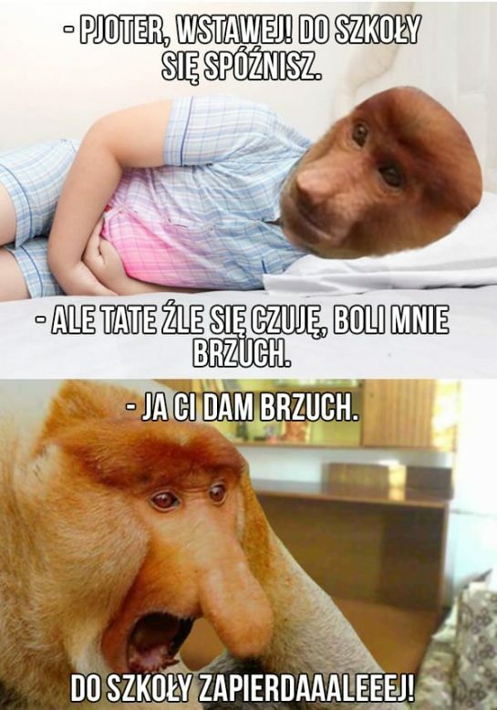Tate, brzuch mnie boli