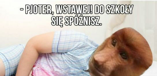 Tate, brzuch mnie boli