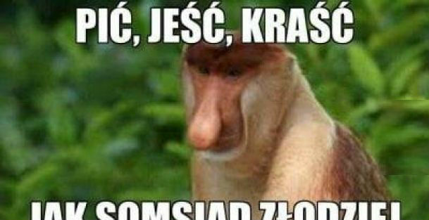 Janusznafide
