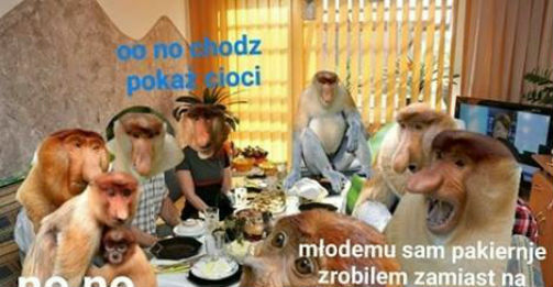 Rodzinka podziwia Pioterka 