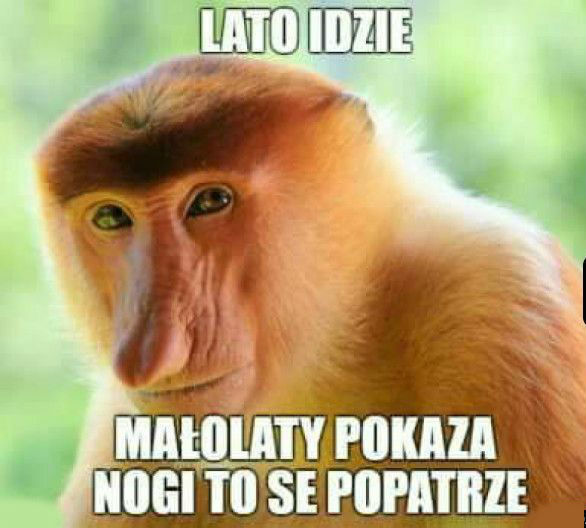 Lato nadciąga!