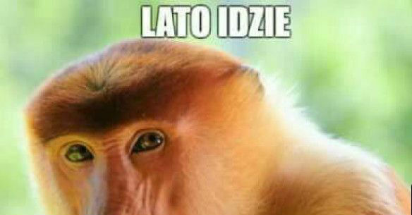 Lato nadciąga!