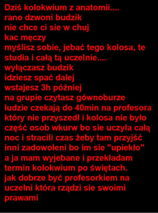 Taka praca to marzenie