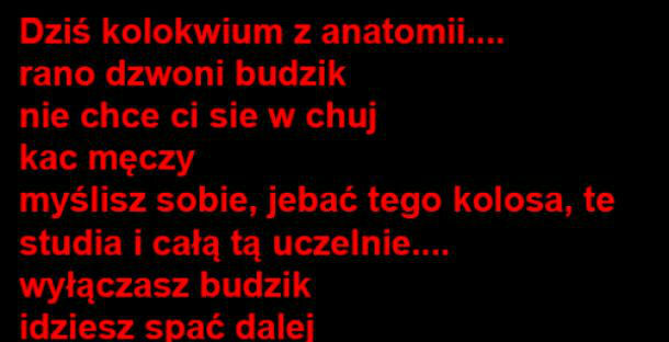 Taka praca to marzenie