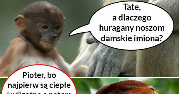 Huragany 