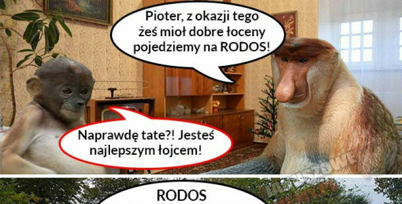 Nagroda marzeń 