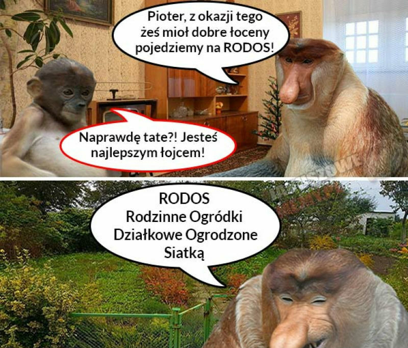 Nagroda marzeń 