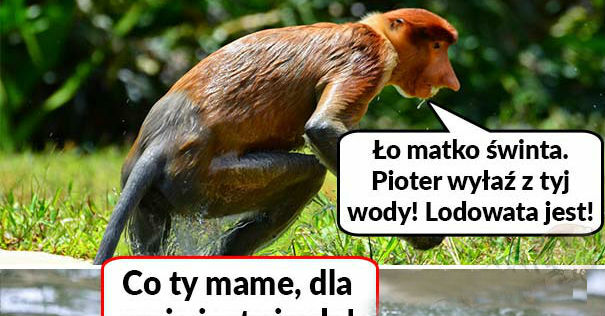 Nieusłuchany Pioter 