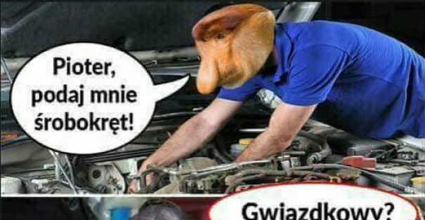 Mechanikiem to on nie zostanie...