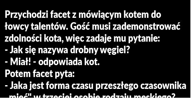 Kot z talentem
