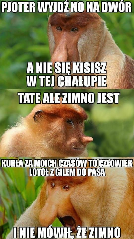 Za moich czasów to było