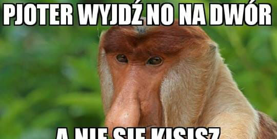 Za moich czasów to było