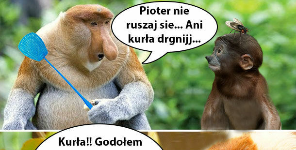 Mucha na Pioterze 