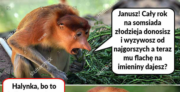 Prezent dla somsiada 