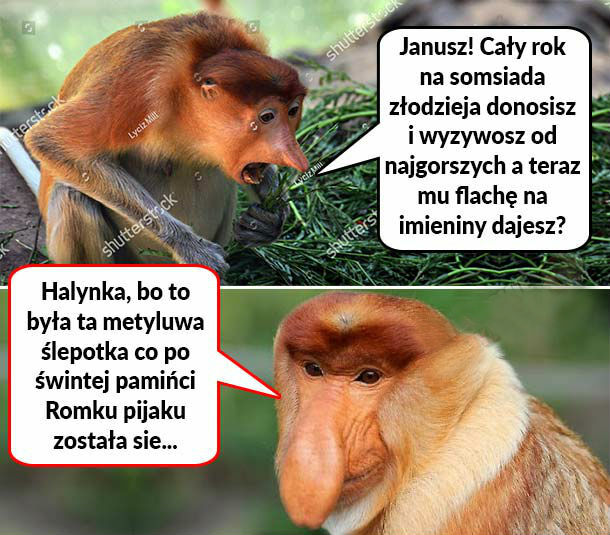 Prezent dla somsiada 