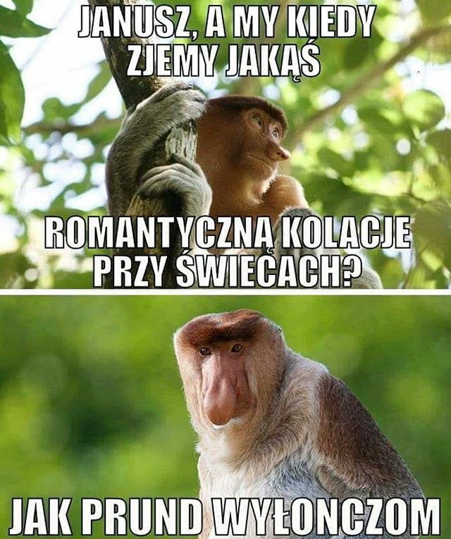 Romantyk 