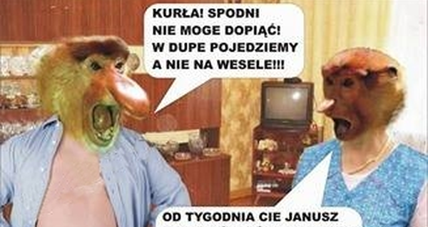 Janusz z Grażynką idą na wesele 