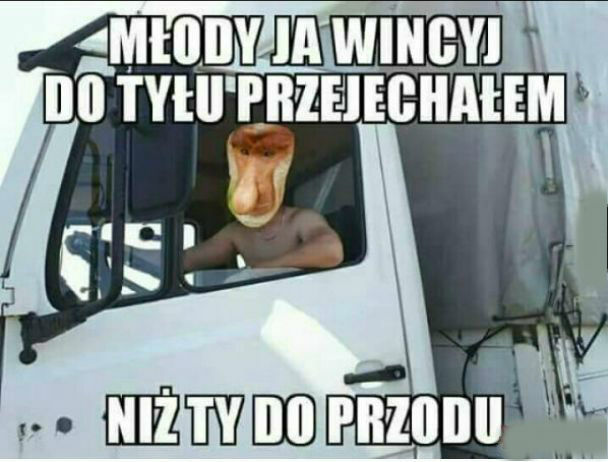 Co Ty wiesz o jeżdżeniu?