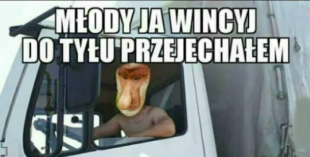 Co Ty wiesz o jeżdżeniu?