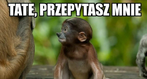 Janusz-obieżyświat
