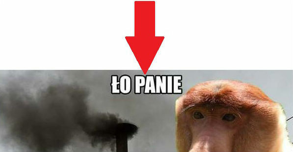 To jest znak!