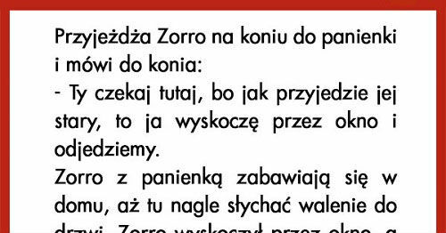 Zorro i koń
