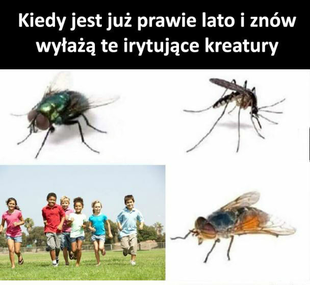 Znowu one...