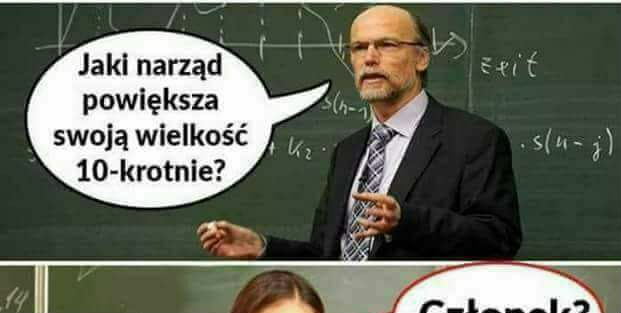 Jest czego zazdrościć 