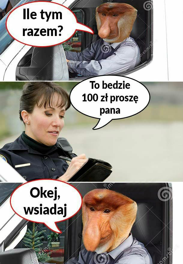 Janusz i pani policjantka 