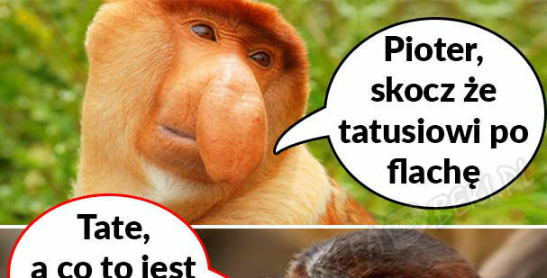 Pioter, skocz po flachę