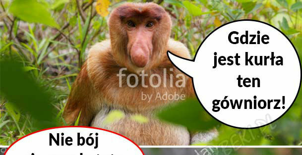Wkurzony ojciec 