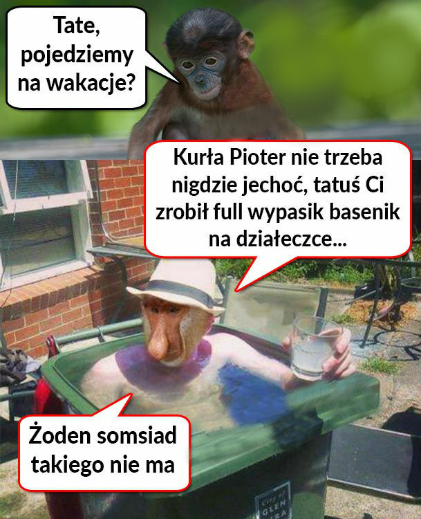 Full wypasik basenik 