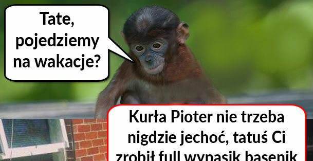 Full wypasik basenik 
