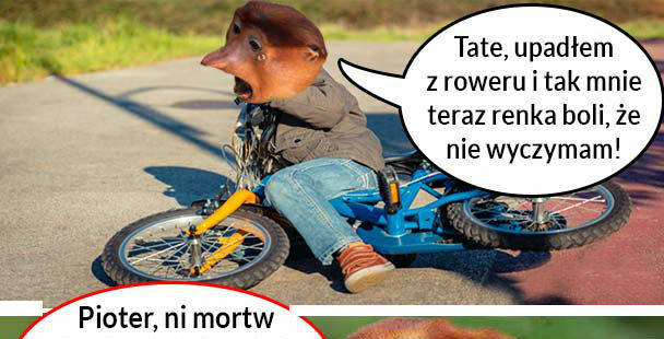 Kiedy Pioter zaliczy upadek 