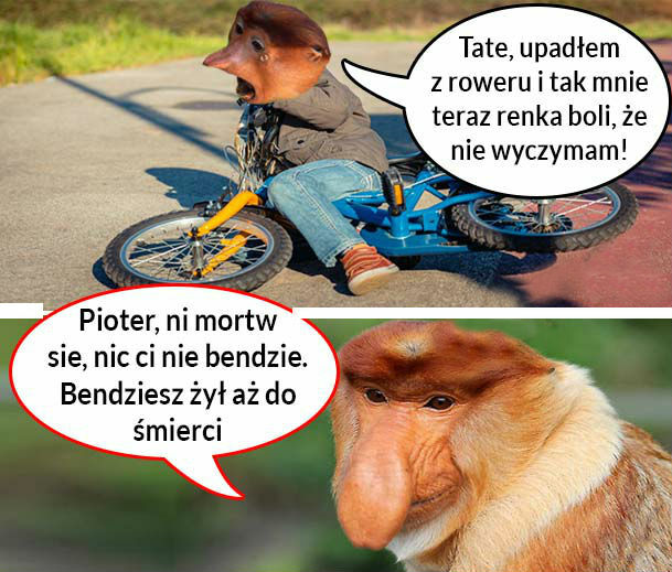Kiedy Pioter zaliczy upadek 