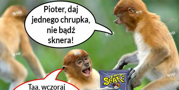Dej chrupka 