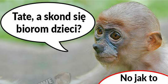 Trudne pytanie 