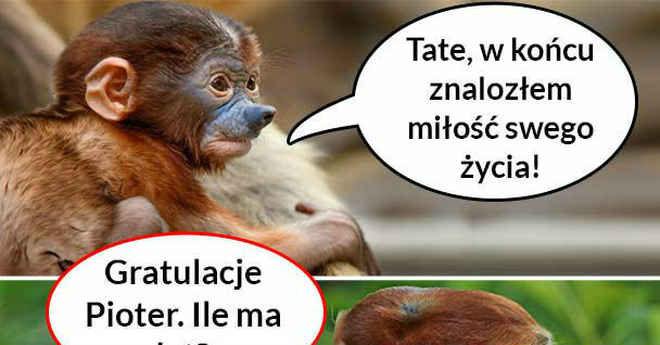 Wielka miłość Pioterka 