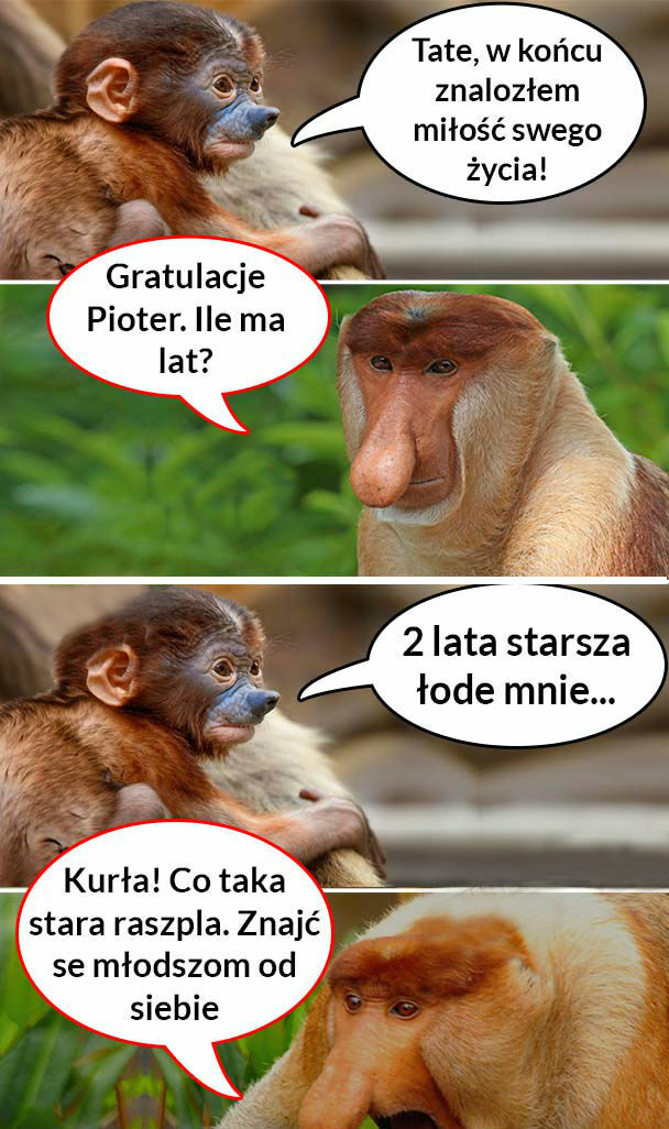 Wielka miłość Pioterka 