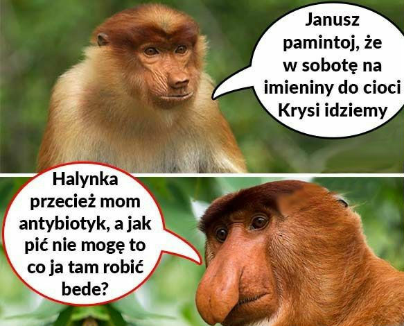 Halynka miej litość 