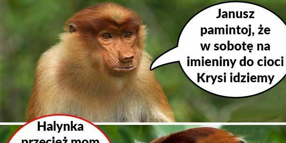 Halynka miej litość 