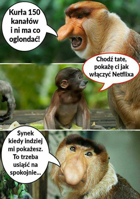 Janusz i telewizja 