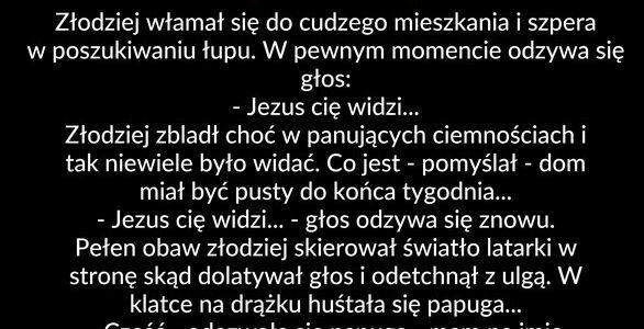 Nie warto było kraść