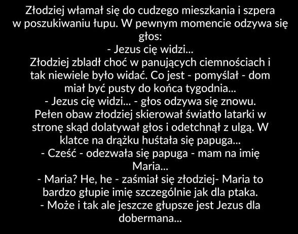 Nie warto było kraść