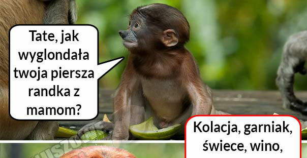 Pierwsza randka Janusza i Halyny