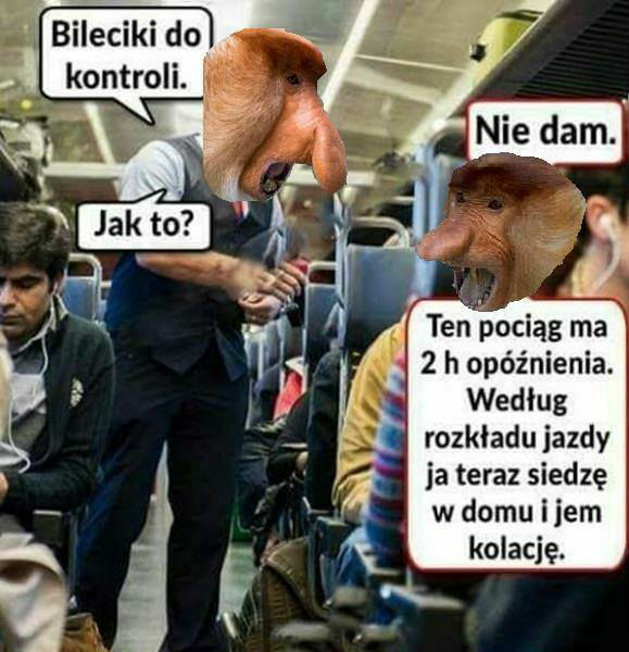 Wszystko według rozkładu