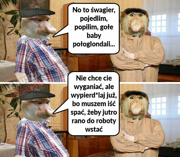 Gościnny Janusz 