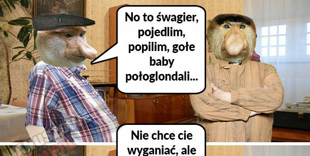 Gościnny Janusz 