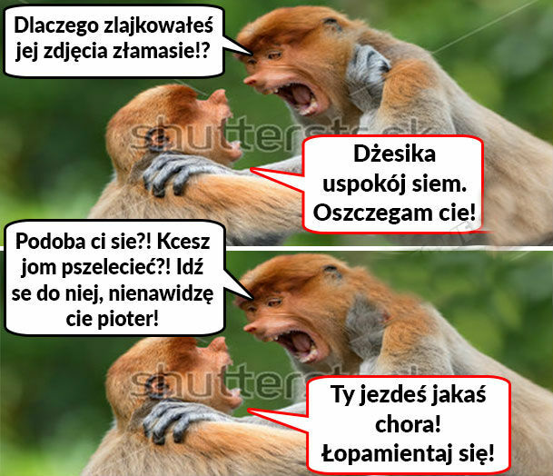 Kiedy Pioter zalajkuje zdjęcie innej laski