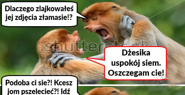 Kiedy Pioter zalajkuje zdjęcie innej laski